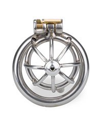 Load image into Gallery viewer, Repentance small penis cage with urethral probe