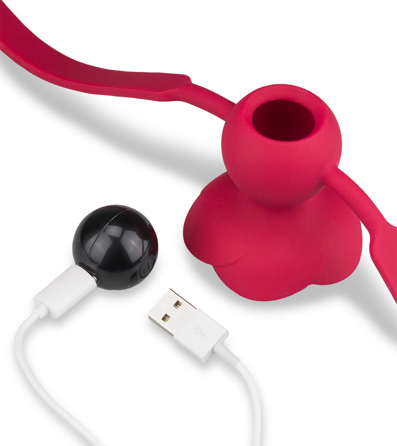 Rosie vibrating ball gag
