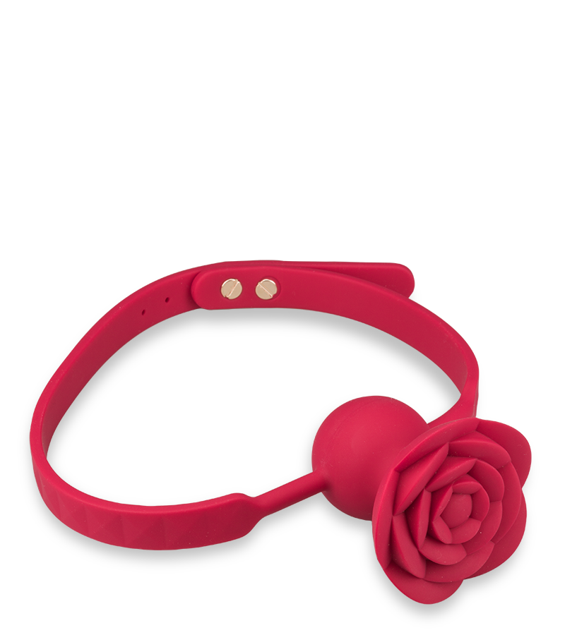 Rosie vibrating ball gag