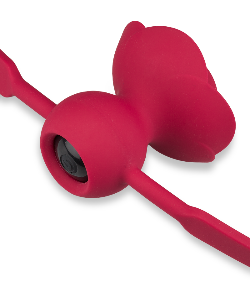 Rosie vibrating ball gag