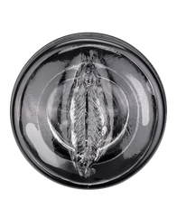 Load image into Gallery viewer, Rotating suction cup masturbator