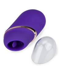 Load image into Gallery viewer, Secret Joy pocket stimulator