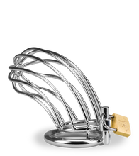 Load image into Gallery viewer, Sentence penis chastity cage