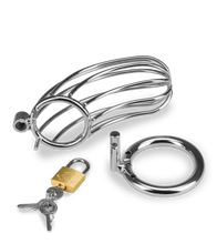 Load image into Gallery viewer, Sentence penis chastity cage