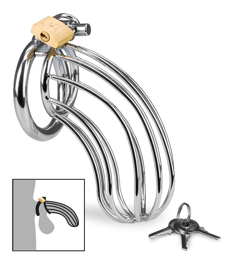 Sentence penis chastity cage