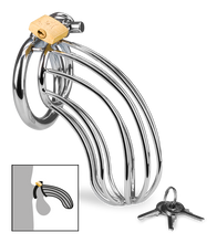 Load image into Gallery viewer, Sentence penis chastity cage
