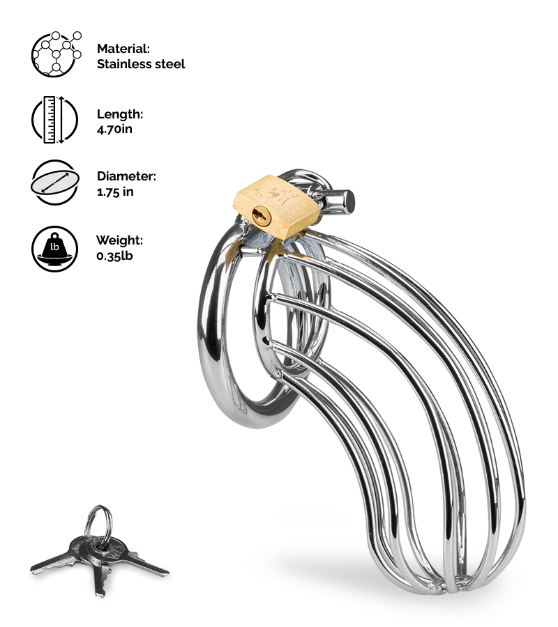 Sentence penis chastity cage