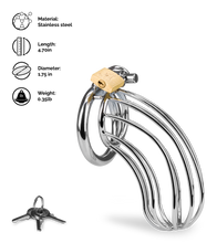 Load image into Gallery viewer, Sentence penis chastity cage