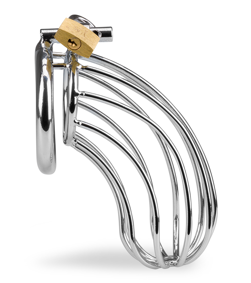 Sentence penis chastity cage