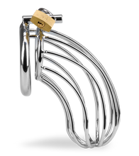 Load image into Gallery viewer, Sentence penis chastity cage