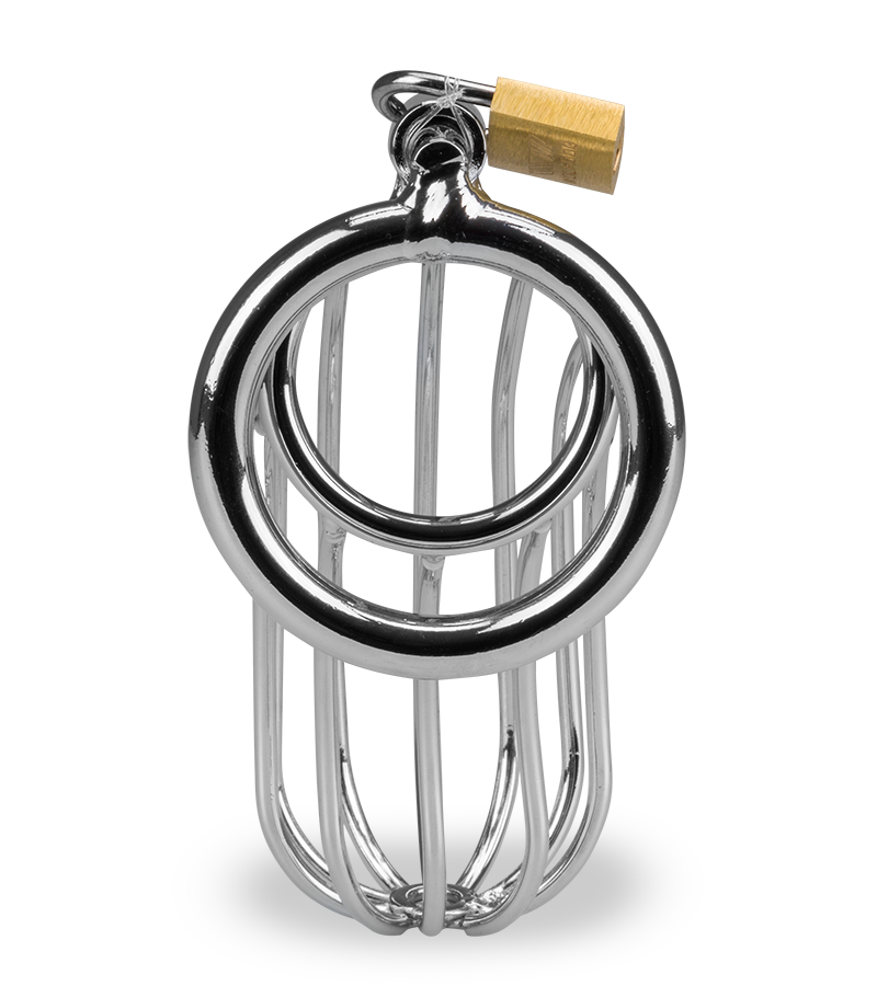 Sentence penis chastity cage