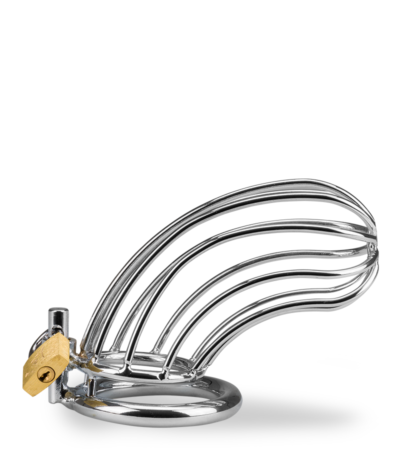 Sentence penis chastity cage