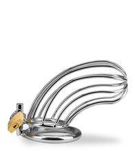 Load image into Gallery viewer, Sentence penis chastity cage