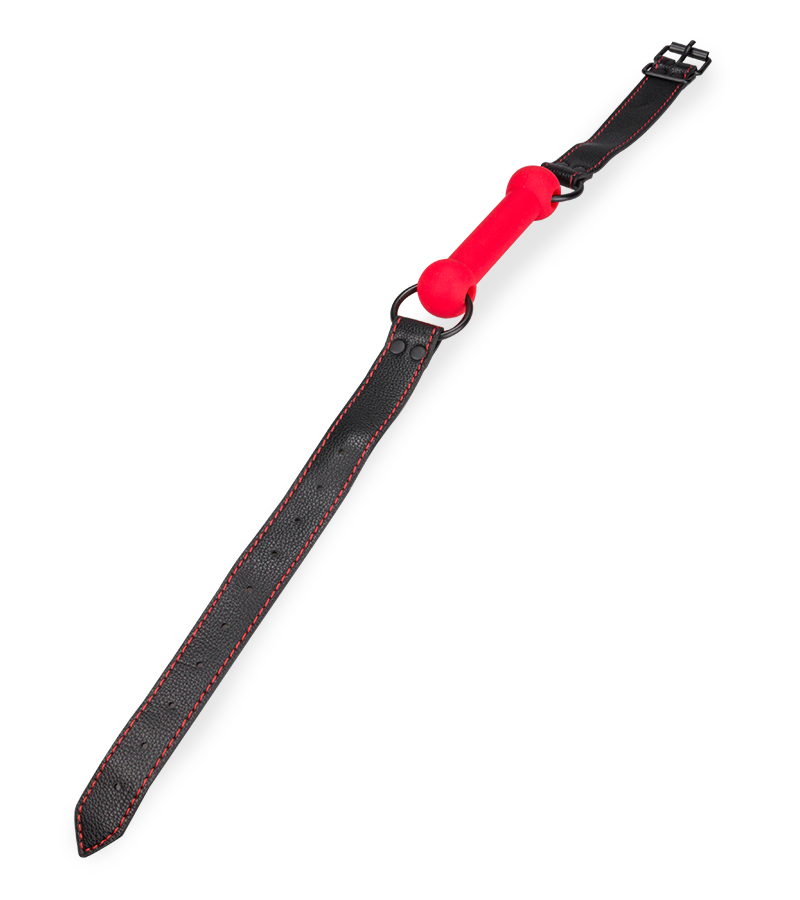 Silicone and faux leather bit gag