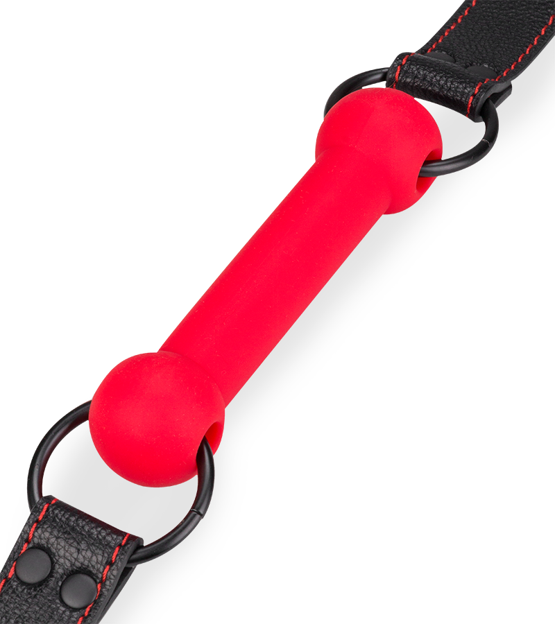 Silicone and faux leather bit gag