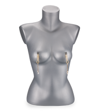 Load image into Gallery viewer, Sirius rhinestone nipple clamps