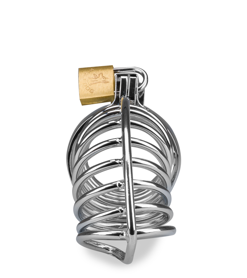 Snaily penis chastity cage