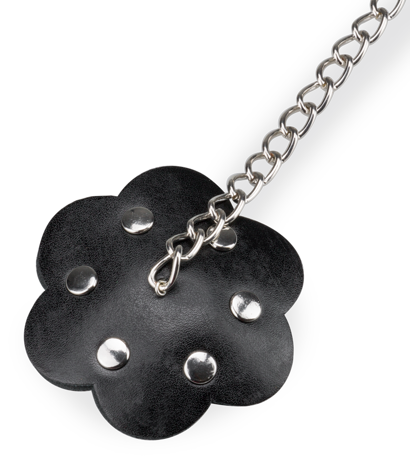 Spiked collar and riveted nipple pasties