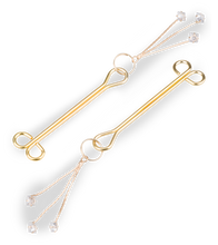 Load image into Gallery viewer, Sprinkles BDSM nipple clamps