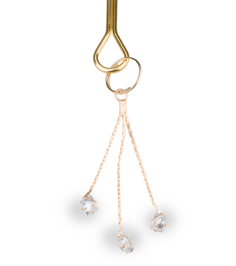 Sprinkles BDSM nipple clamps