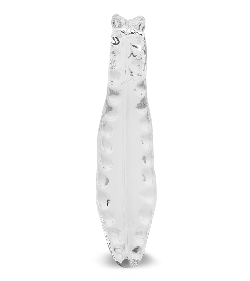 Tentacle glass dildo