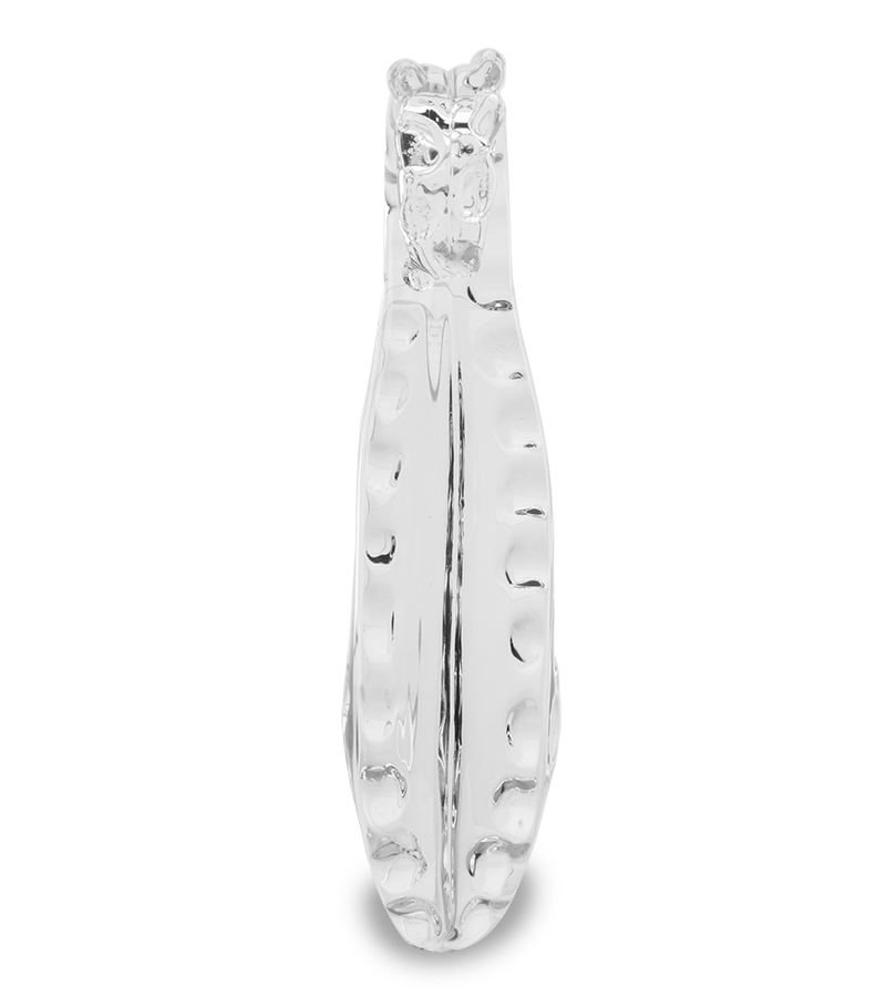 Tentacle glass dildo