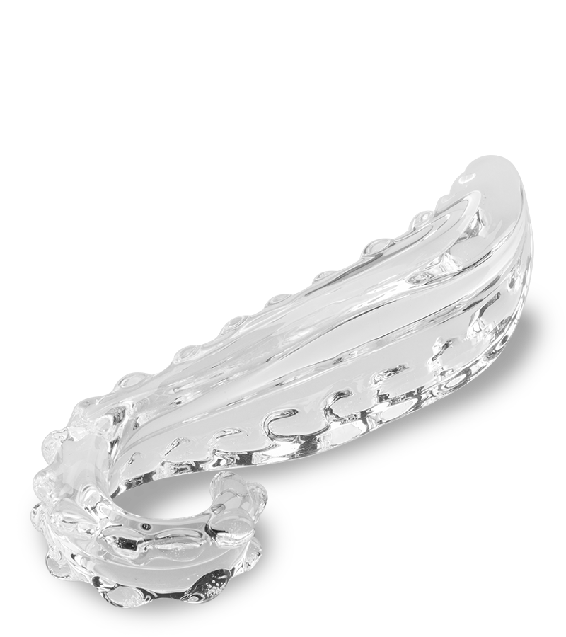 Tentacle glass dildo