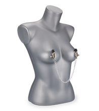 Load image into Gallery viewer, Under Pressure nipple clamps with chain