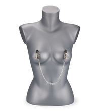 Load image into Gallery viewer, Under Pressure nipple clamps with chain