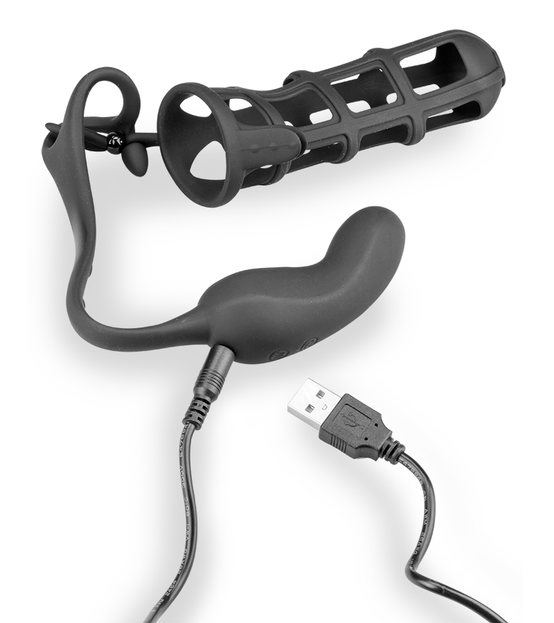 Vibrating cock ring and prostate stimulating penis cage