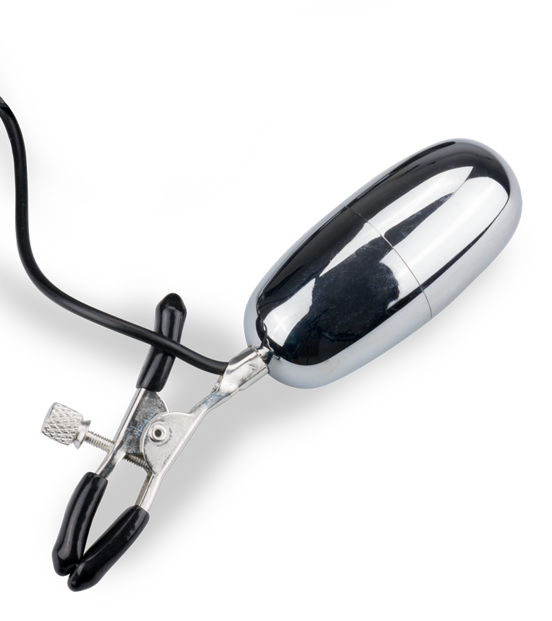 Vibrating dildo and nipple clamps