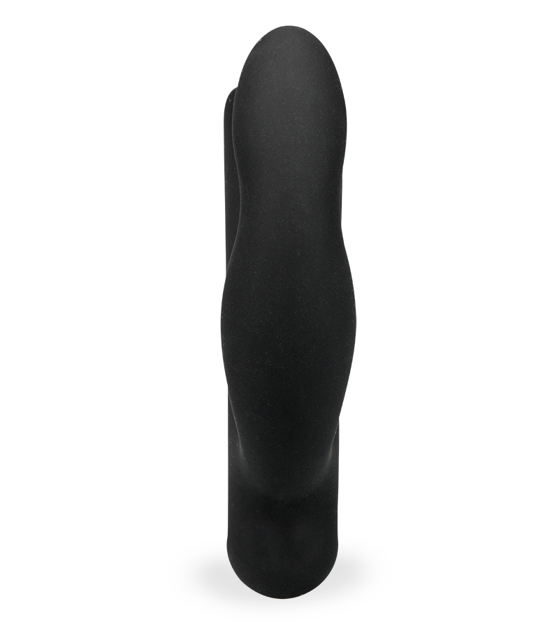 Vista remote-controlled prostate massager