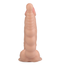 Load image into Gallery viewer, Wilfried realistic suction-cup dildo with anal plug