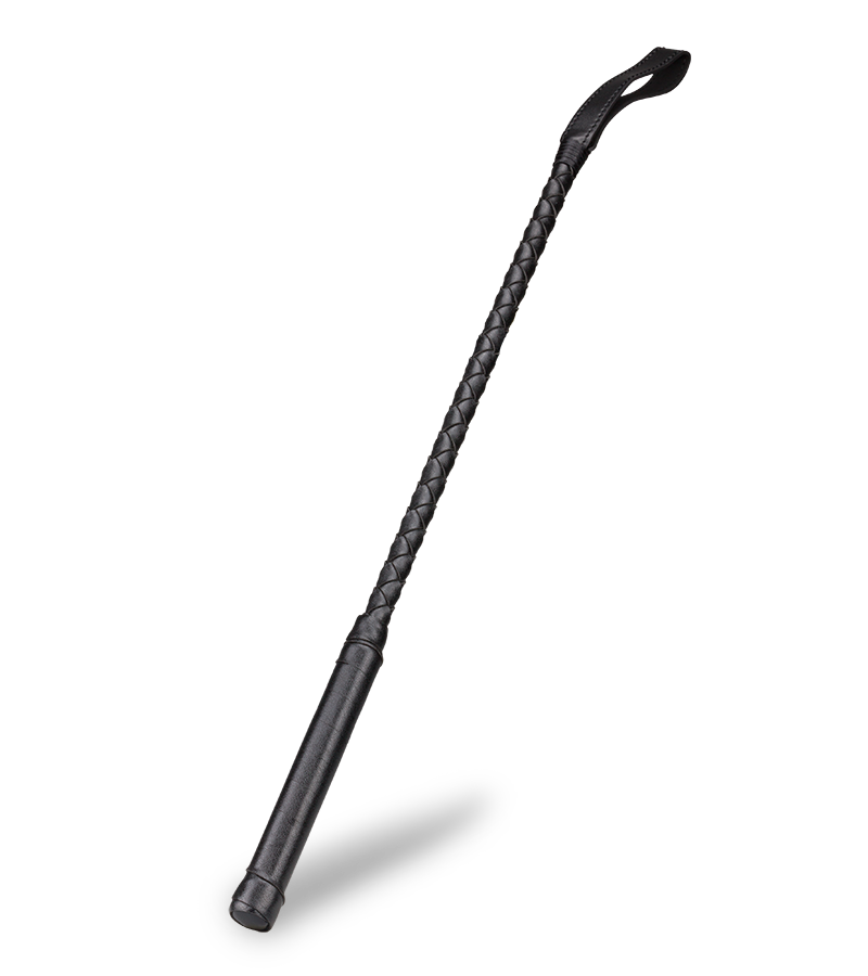 Zatanna BDSM riding crop